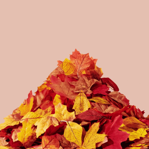 psl psl